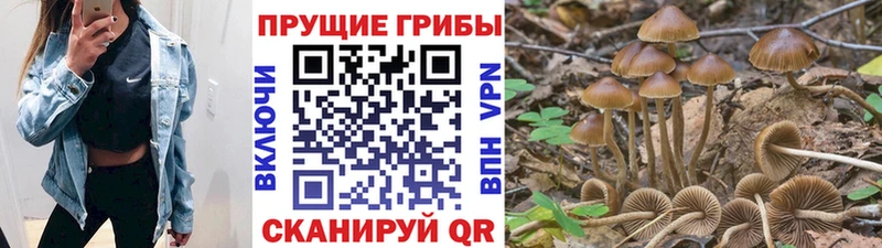 Псилоцибиновые грибы Psilocybine cubensis  наркота  Каменск-Шахтинский 