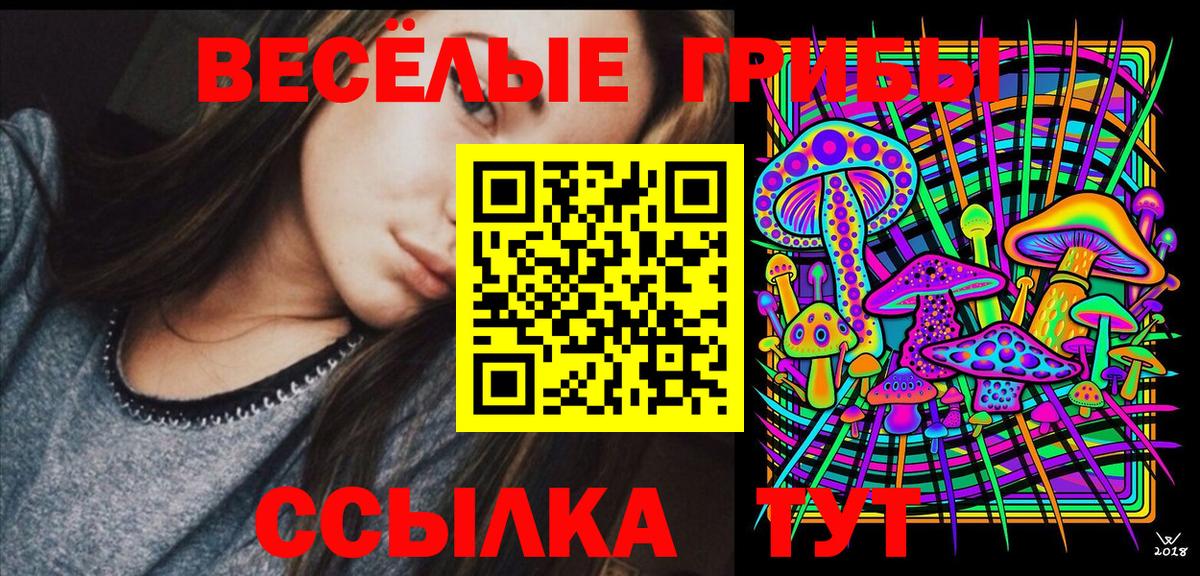 Каменск-Шахтинский  Псилоцибиновые грибы MAGIC MUSHROOMS  Вход с VPN 